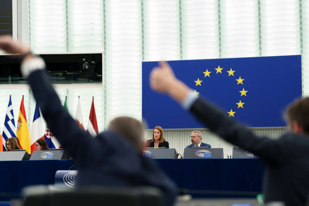 Flachenecker 2026 EU Flag OJ