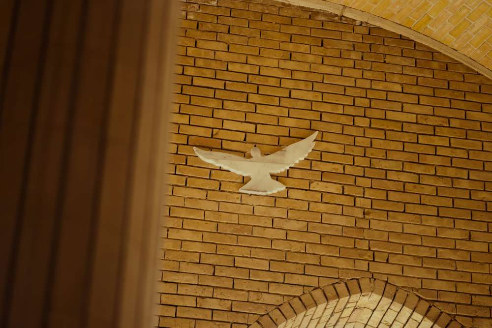 Germanys Contributions