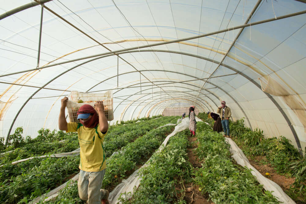 Lehmann 2025 Migrant Workers OJ