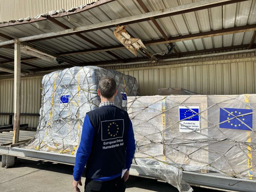 Rotmann 2026 Peacebuilding OJ