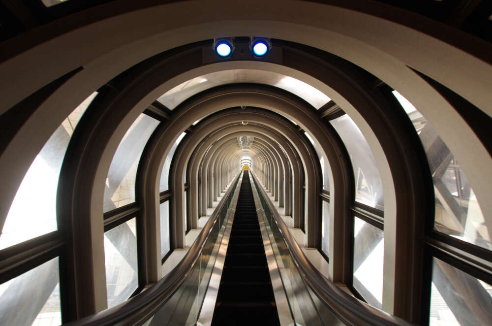 Stoffel 2026 Psychology Reform OJ