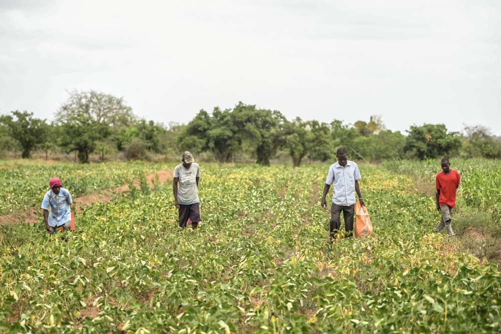 Wagner2023 Reap Stateof Plaz