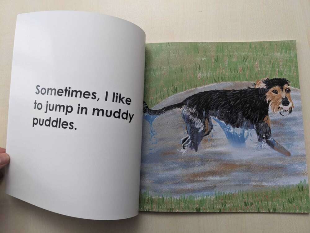 Whats App Image 2026 01 09 at 2 52 12 PM 1