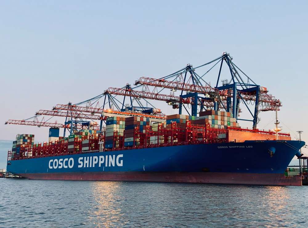 Cosco x degree discount showroom