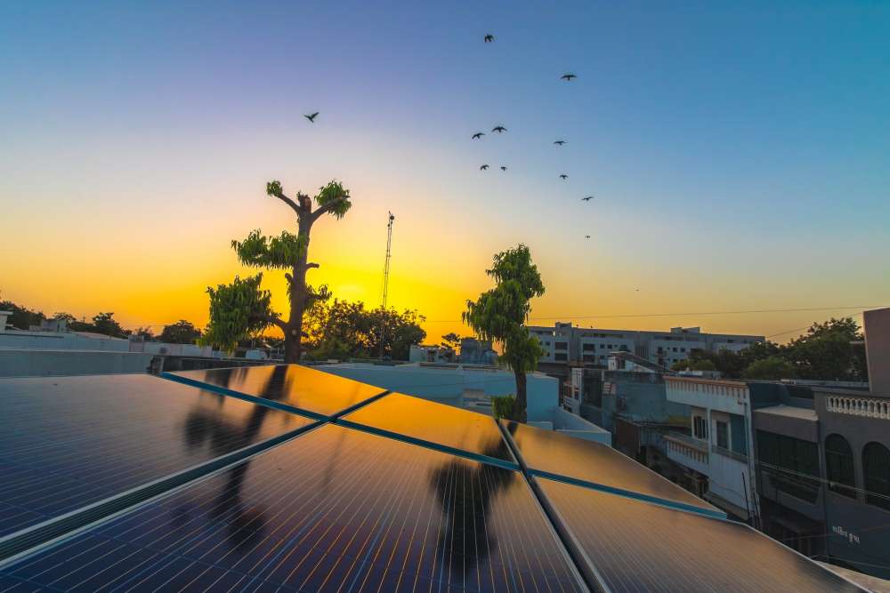 Hensing Scholz 2024 Indien Partner der Stunde