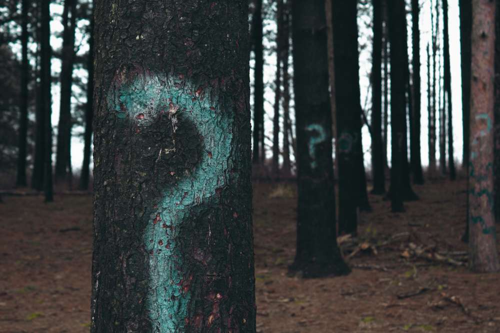 Evan dennis i IN3cv Ejg unsplash